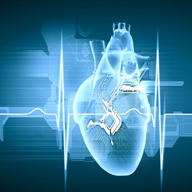 La Dutch Heart Foundation assegna una sovvenzione di 2,5 milioni di euro per la ricerca sulla fibrillazione atriale
